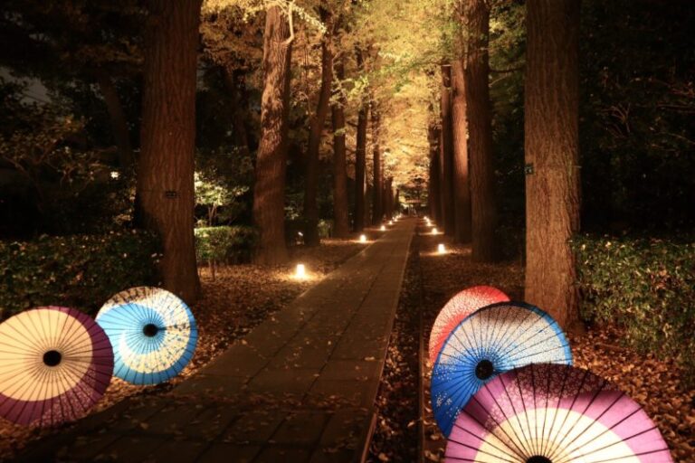 東京の紅葉穴場スポット 大田黒公園の紅葉ライトアップをお散歩してみました