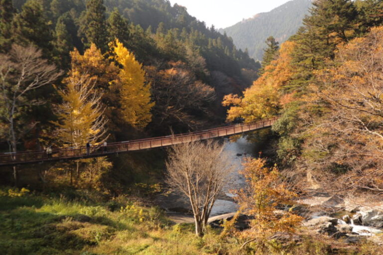 都心から６０分 日帰りで行ける東京秋川渓谷の 石舟橋 をお散歩してみた