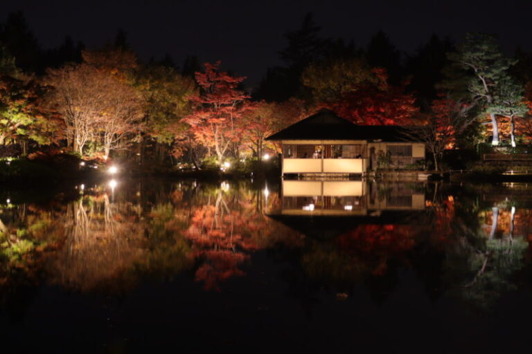 和の競演 国営昭和記念公園の２０２０年紅葉ライトアップ 黄葉紅葉まつり秋の夜散歩 に行ってみた