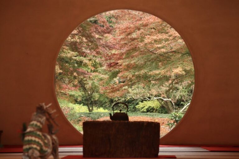 鎌倉のあじさいと紅葉の名所 うさぎさんいっぱいの明月院をお散歩してきました