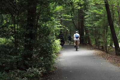 国営昭和記念公園の園内移動はレンタサイクルが便利 自転車貸し出しを徹底解説します