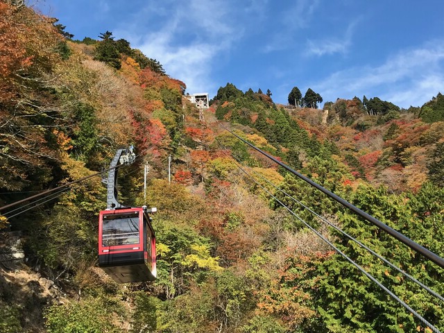 山梨 静岡 長野県民限定 身延山ロープウェイ紅葉キャンペーン 10 15から開催